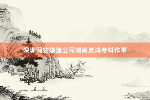 深圳网站建造公司湖南岚鸿专科作事