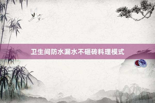 卫生间防水漏水不砸砖料理模式