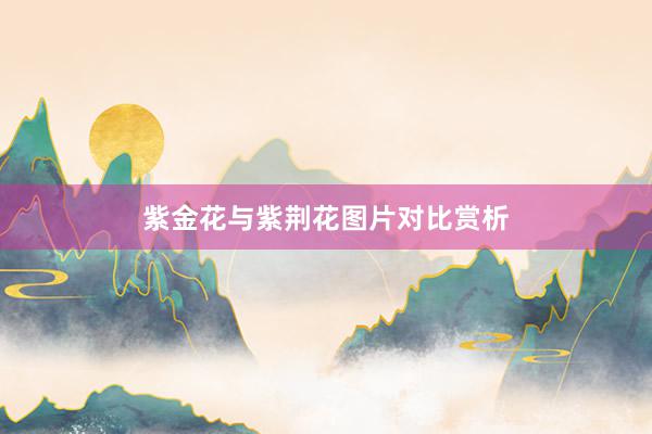 紫金花与紫荆花图片对比赏析
